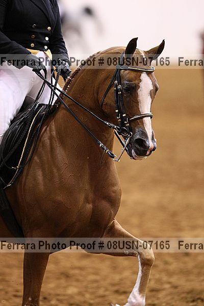 Proof 08usn-07165