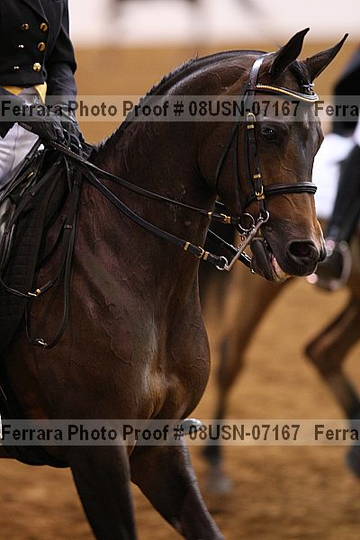 Proof 08usn-07167