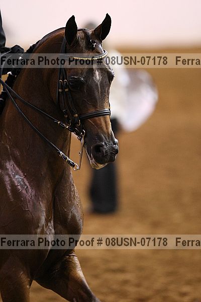 Proof 08usn-07178