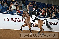 08usn-07181 proof