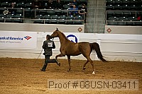 08usn-03411 proof