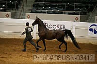 08usn-03412 proof