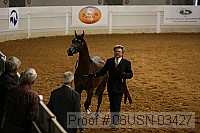 08usn-03427 proof