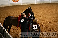 08usn-03430 proof