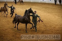08usn-03446 proof