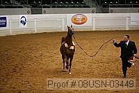 08usn-03449 proof