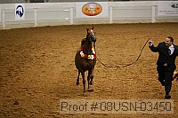 08usn-03450 proof