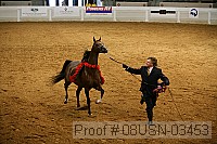 08usn-03453 proof