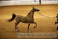 08usn-s03507 proof