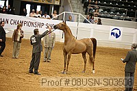 08usn-s03508 proof