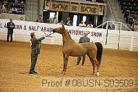 08usn-s03509 proof