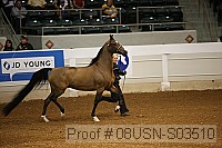 08usn-s03510 proof