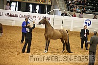 08usn-s03513 proof