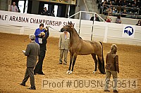 08usn-s03514 proof