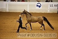 08usn-s03515 proof
