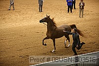 08usn-s03516 proof