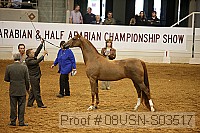 08usn-s03517 proof