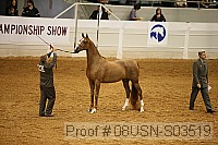 08usn-s03519 proof