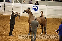08usn-s03521 proof