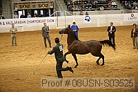 08usn-s03525 proof