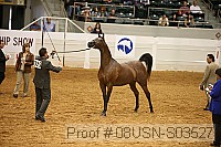 08usn-s03527 proof