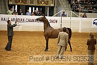 08usn-s03528 proof