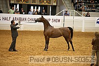 08usn-s03529 proof