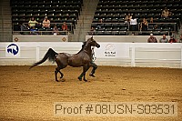 08usn-s03531 proof