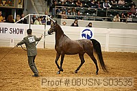 08usn-s03535 proof