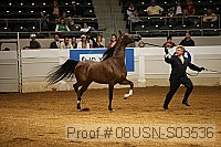 08usn-s03536 proof