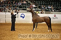 08usn-s03537 proof