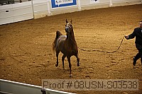 08usn-s03538 proof