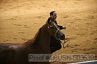 08usn-s03539 proof