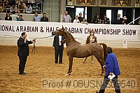 08usn-s03540 proof