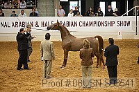 08usn-s03541 proof