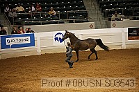 08usn-s03543 proof