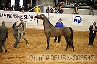 08usn-s03547 proof