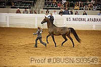 08usn-s03549 proof