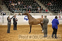 08usn-s03566 proof