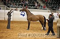 08usn-s03567 proof