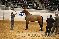 08usn-s03569 proof