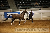 08usn-s03570 proof