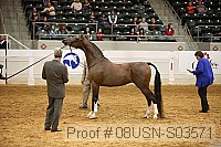 08usn-s03571 proof