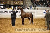08usn-s03578 proof
