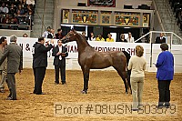 08usn-s03579 proof