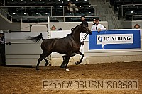 08usn-s03580 proof