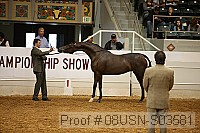 08usn-s03581 proof