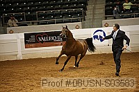08usn-s03583 proof