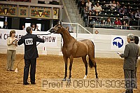 08usn-s03586 proof