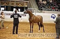 08usn-s03587 proof